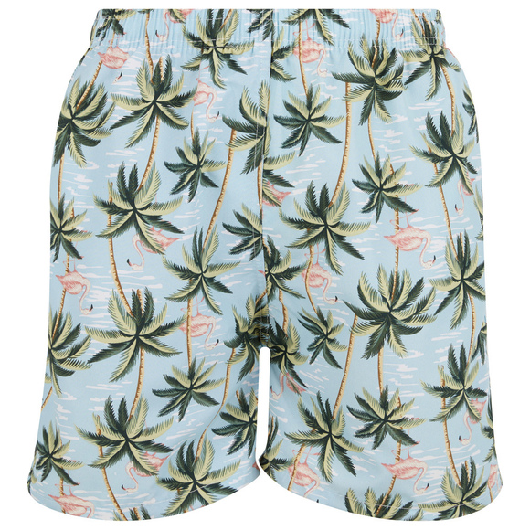 Mens Swim Trunks Swimming Shorts Board Bathing Suit, Small Medium Large X-Large - Picture 1 of 8